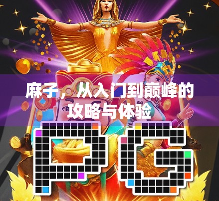 麻子,从入门到巅峰的攻略与体验 麻子,从入门到巅峰的攻略与体验