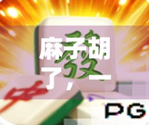 麻子胡了，一场误解与挑战