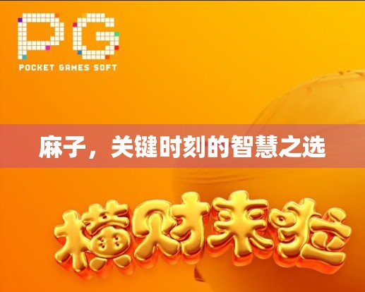 麻子，关键时刻的智慧之选