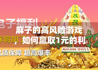 麻子的高风险游戏，如何赢取1元的利润