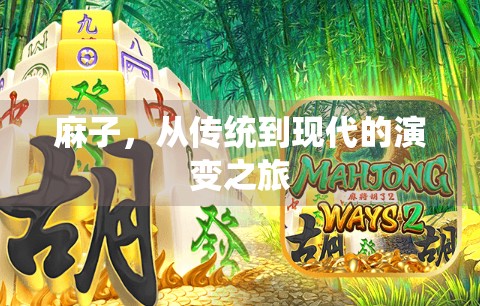 麻子，从传统到现代的演变之旅