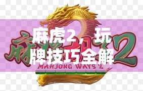 麻虎2，玩牌技巧全解析