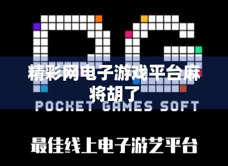 精彩网电子游戏平台麻将胡了